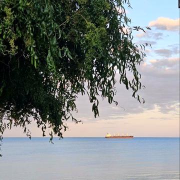 Шкіперська
