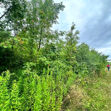 2-га Білогорська вул.