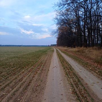 Забіря, Фастівський, Київська область 160000.0 USD