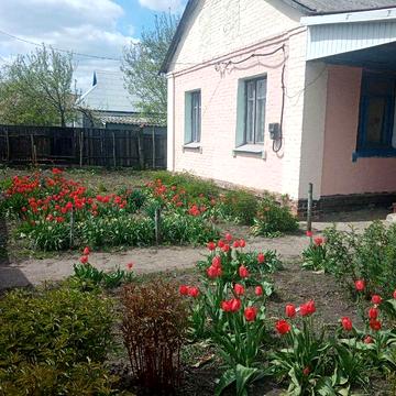 продам дом в центре