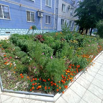 Курузова вул., 11