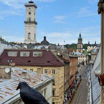 Оренда 1к квартири пл Ринок Беринди пр-т Свободи