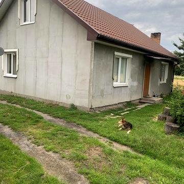 Здам  житло в оренду