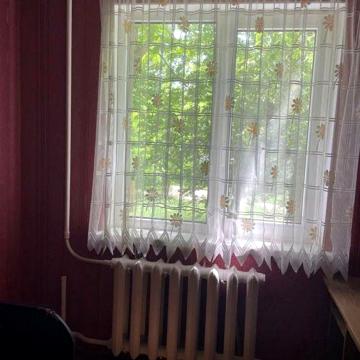 Можно с животными! Сиверский (Рокоссовского)