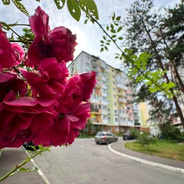 Продаю 1к квартиру з ремонтом в ЖК Ягода ЖК Ягода