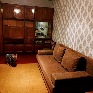 Срочно! Сдаю 1-комнатную квартиру на Восточном 2, ул. Лисового, 23