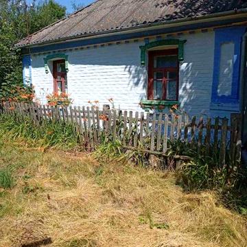 Будинок 80 м2 обкладений цеглою