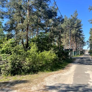 Незалежності, 5