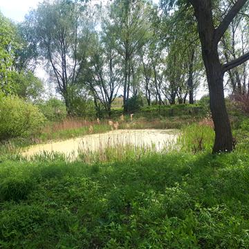 Набережна, 13