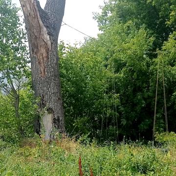 Рожни, Броварський, Київська область 8250.0 USD