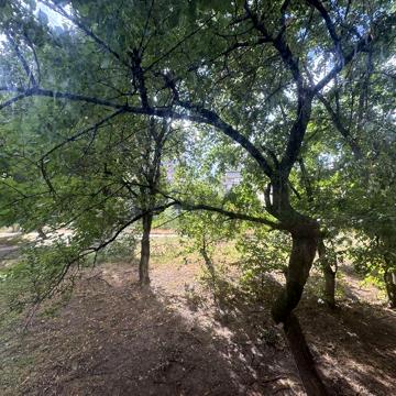 Квартира 3к на Борщаговке