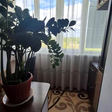 Романа Шухевича вул. (Гастелло), 22