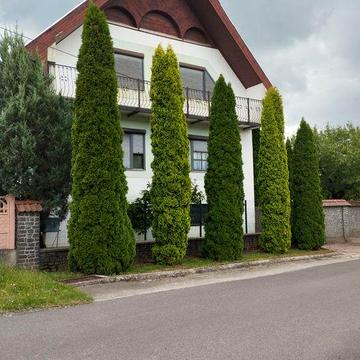 Продам дом Закарпатье Вилок