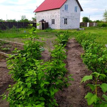 Продам сучасний будинок 114 м2, Остер, с.Лутава. Власник