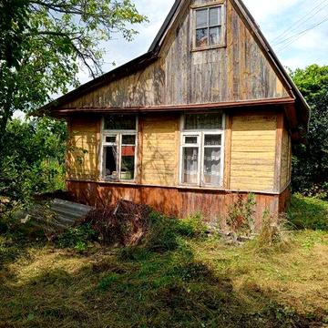 дача на Бузі дачний масив Прикордонник