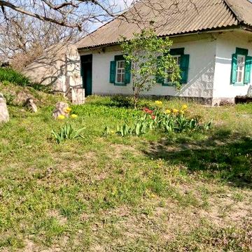 продам будинок у с. Медведівка