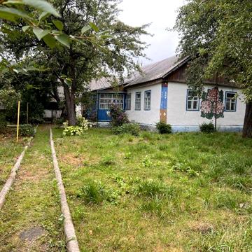 Будинок,дача,приватна садиба,с.Степанівка,Ємільчине.