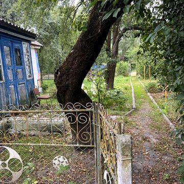 Будинок,дача,приватна садиба,с.Степанівка,Ємільчине.