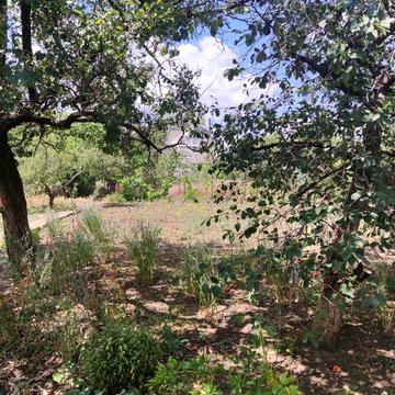 Продається дачна ділянка з будинком