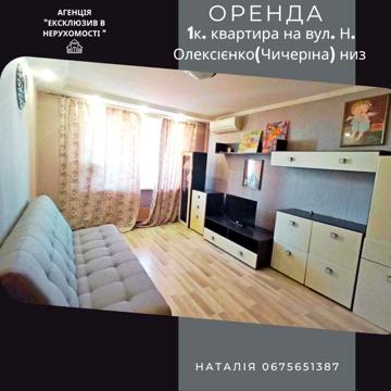 Сдам в аренду 1к.квартиру на Н.Алексеенко (Чичерина)  низ