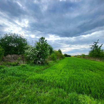 Оброшине, Львівський, Львівська область 1300.0 USD