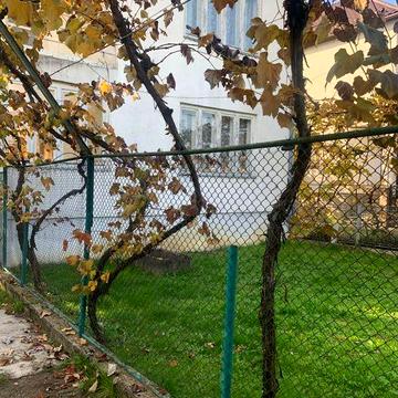 Продаж -обмін будинка у м.Іршава,вул.Г.Глюка,