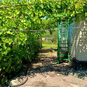 Продаж 5к Дім Михайла Брайчевського (Некрасова) вулиця