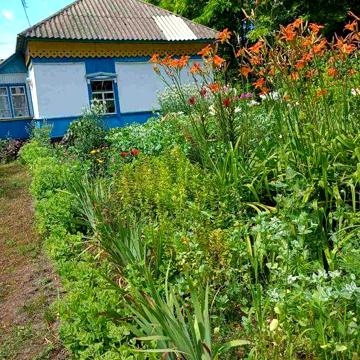 Продам будинок для дачі