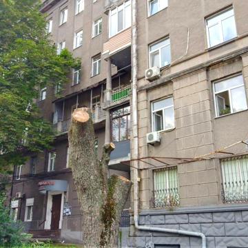 Гетьмана Павла Скоропадського вул. (Льва Толстого), 25