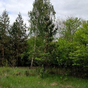 Забуччя, Бучанський, Київська область 115000.0 USD