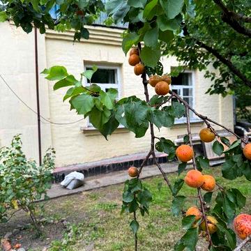 Продам будинок у центрі міста