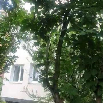 Оренда будинку для сімї під офіс
