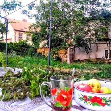 Дом с  участком  в Черноморке недалеко от моря .
