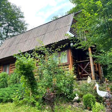 Затишний будинок в гірській місцевості