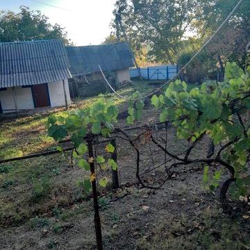 Здам будинок на довго тривалий термін в селі ПОПІВКА.