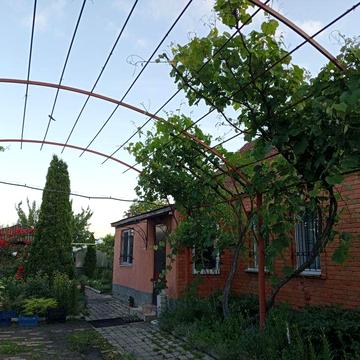 Будинок з теплицею в с. Софіївка