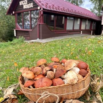 Центральна