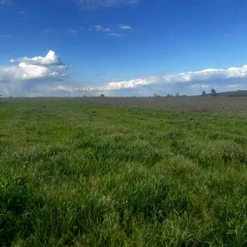 Вишеньки, Бориспільський, Київська область 25000.0 USD