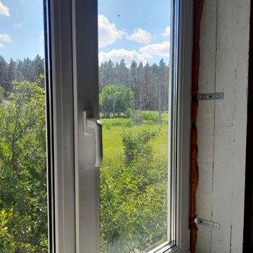 Будинок біля соснового лісу в Клюсівці