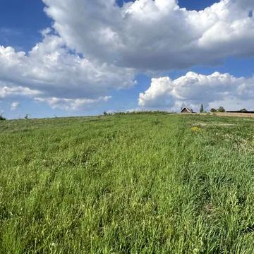 Вишеньки, Бориспільський, Київська область 5000.0 USD