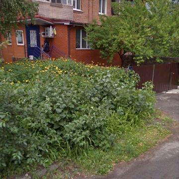 Здам квартиру в центрі зі своїм двором