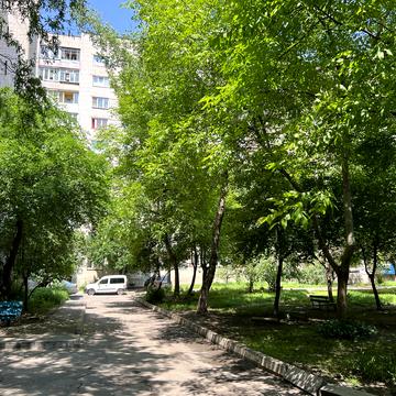 Петра Запорожця, 20