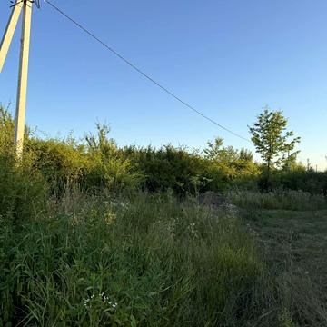 Центральна