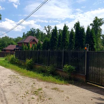 Грибна