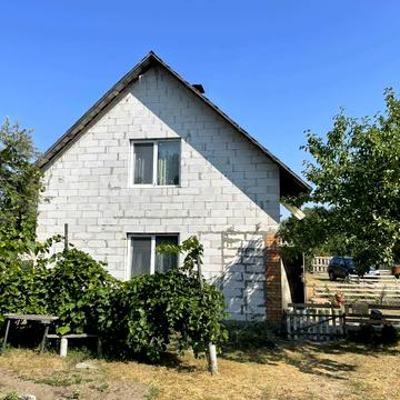 Зелена, 16