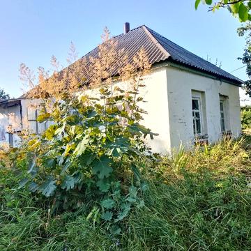 Продається дача біля Золотоноші.