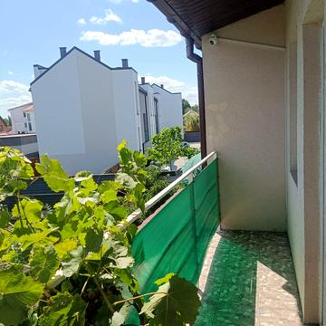 Центральна вул.