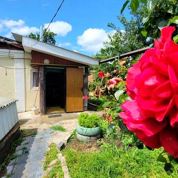Оренда будинка в центрі міста