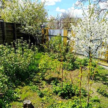 Продаж 4к Дім Шевченка вулиця