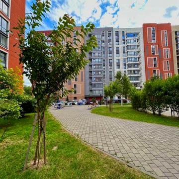 Оренда 2к ЖК Семицвіт, вул. Шевченка